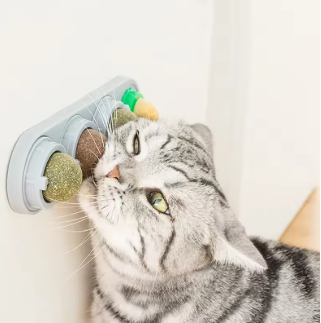 Mèo liếm bóng catnip gắn tường