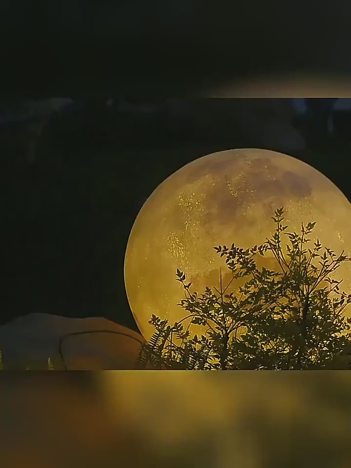 Outdoor Moon Light – Waterproof IP65 Garden Landscape Lamp